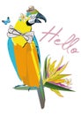 Parrot with a bow tie with butterflies. Series of Summer banner with tropical leaves and animals.